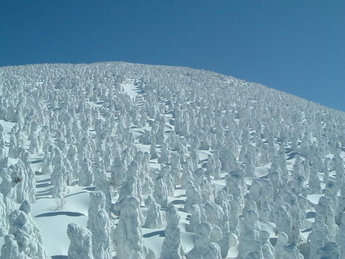 Le Vert Zao Yamagata  Esterno foto